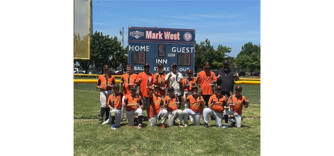 Majors Champion Giants